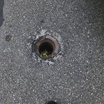 Pothole at 22–98 Shailer St