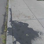 Sidewalk Repair at 2 St Paul St