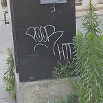 Graffiti at 524 Harvard St