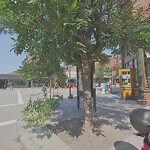 Public Trees at 207 Washington St