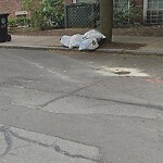 Sidewalk Repair at 43–99 Alton Pl