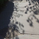 Sidewalk Repair at 86 90 Longwood Ave