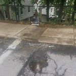 Pothole at 102 Cypress St