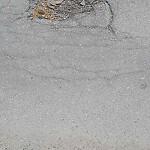 Pothole at 20 John St