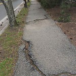 Sidewalk Repair at 629 Heath St, Chestnut Hill