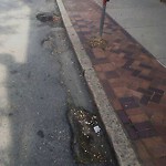 Pothole at 401 409 Harvard St