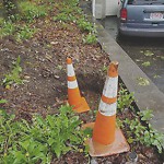 Sidewalk Repair at 121 Chestnut St