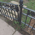 Park Playground at 250 Saint Paul St