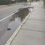 Pothole at 141 Walnut St