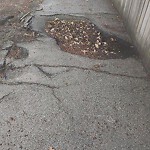 Sidewalk Repair at 236–298 Lee St