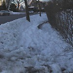 Unshoveled/Icy Sidewalk at 244 Fisher Ave