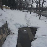 Unshoveled/Icy Sidewalk at Lee St