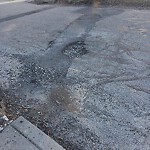 Pothole at 187 Bonad Rd, Chestnut Hill