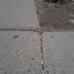 Sidewalk Repair at 1319 Beacon St