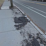 Sidewalk Repair at 100 Centre St