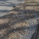 Sidewalk Repair at 15 Cleveland Rd