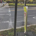 Damaged Sign at 237 Saint Paul St