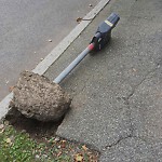 Damaged Sign at 1–25 Englewood Ave