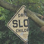 Damaged Sign at 16 Alberta Rd, Chestnut Hill