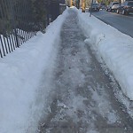 Unshoveled/Icy Sidewalk at 219 Fisher Ave