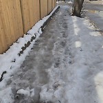 Unshoveled/Icy Sidewalk at 100 Dummer St