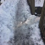 Unshoveled/Icy Sidewalk at 90 Brook St