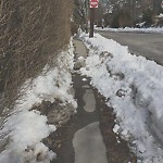 Unshoveled/Icy Sidewalk at 110 Middlesex Rd, Chestnut Hill