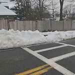 Sidewalk Repair at 32 Kennard Rd