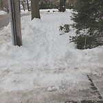 Unshoveled/Icy Sidewalk at 1100 W Roxbury Pkwy, Chestnut Hill