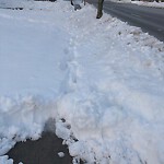 Unshoveled/Icy Sidewalk at 145 Grove St, Chestnut Hill