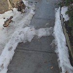 Unshoveled/Icy Sidewalk at 147–173 Dean Rd