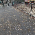 Park Playground at 99 Addington Rd