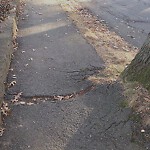 Sidewalk Repair at 54 Leland Rd, Chestnut Hill