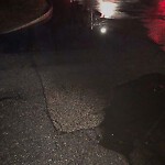 Sidewalk Repair at 10–26 Fairgreen Pl, Chestnut Hill