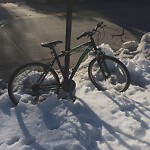 Abandoned Bike at 60 Babcock St