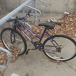 Abandoned Bike at 68 Harvard St