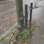 Abandoned Bike at 42.34 N 71.12 W