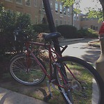 Abandoned Bike at 345 Harvard St