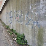 Graffiti at 2–98 Marion Path