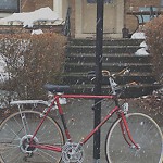 Abandoned Bike at 186 Naples Rd